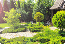 Топосъемка - фото 8